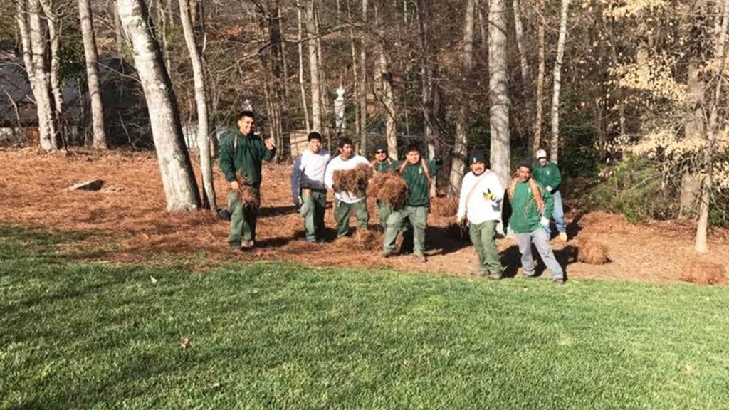 l jones landscapes team in smyrna georgia