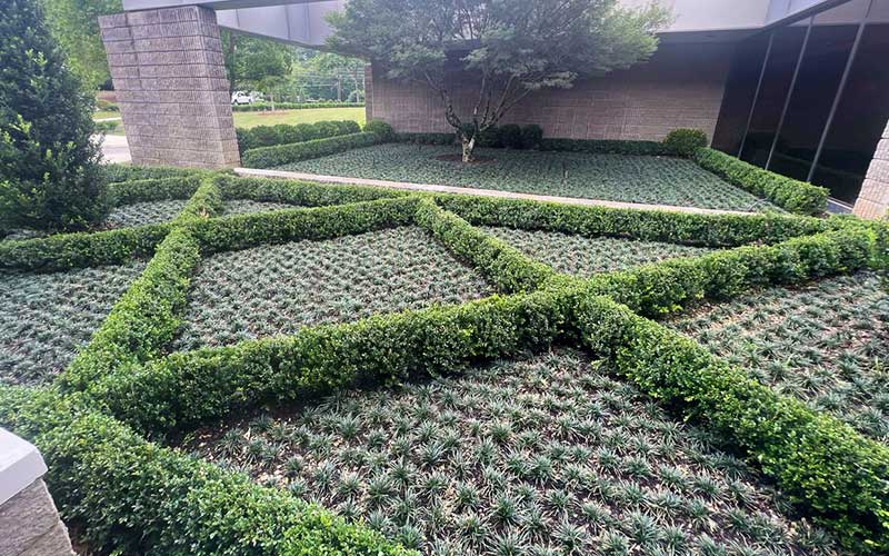 commercial landscaping companies near me