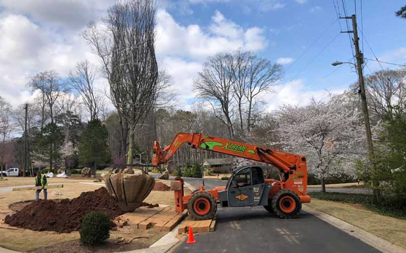 local landscapers near me