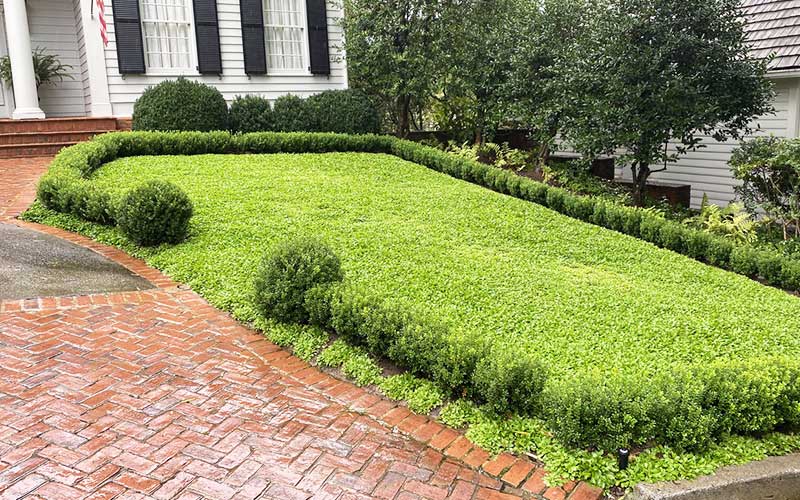 sandy-springs-lawn-care sandy springs lawn care