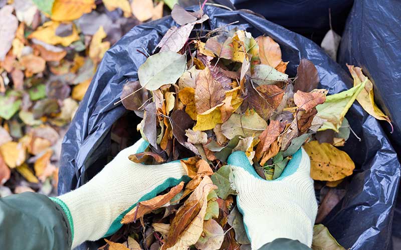 fall landscaping pitfalls