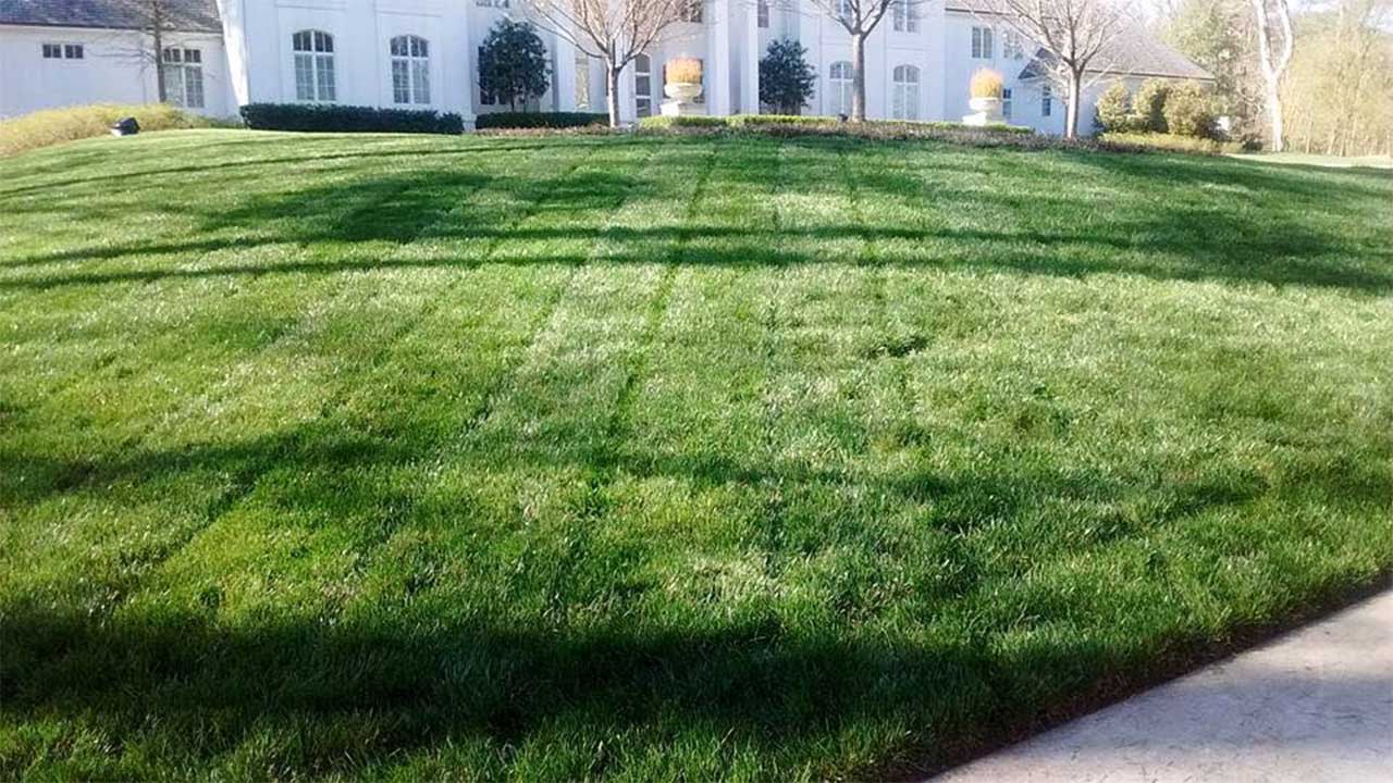 buckhead atlanta sod installation company