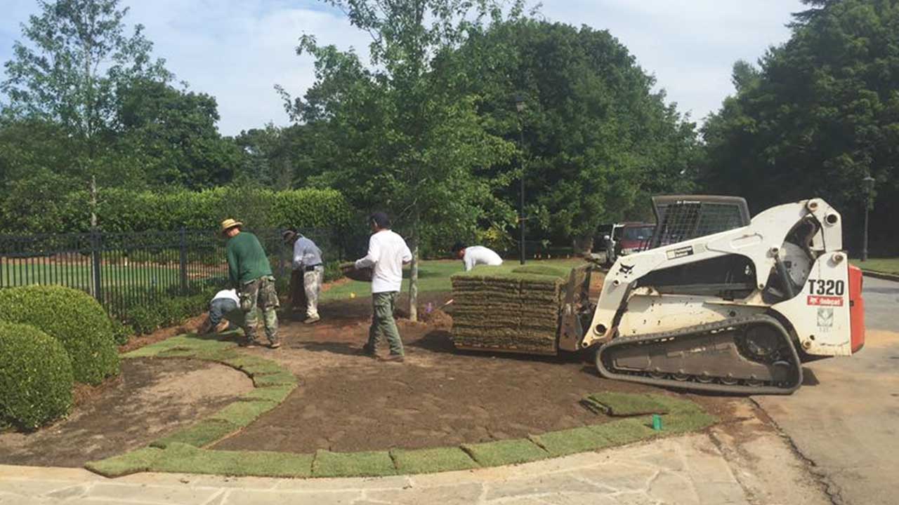 buckhead ga sod installation company