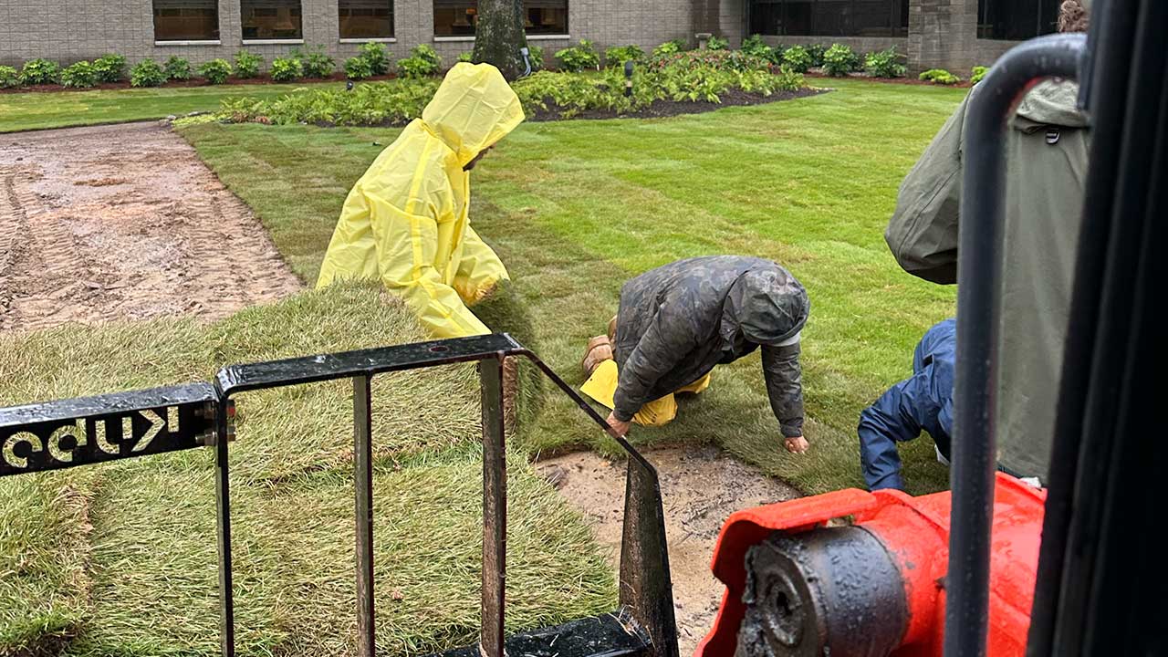 chastain-park-sod-installation-services chastain park sod installation services