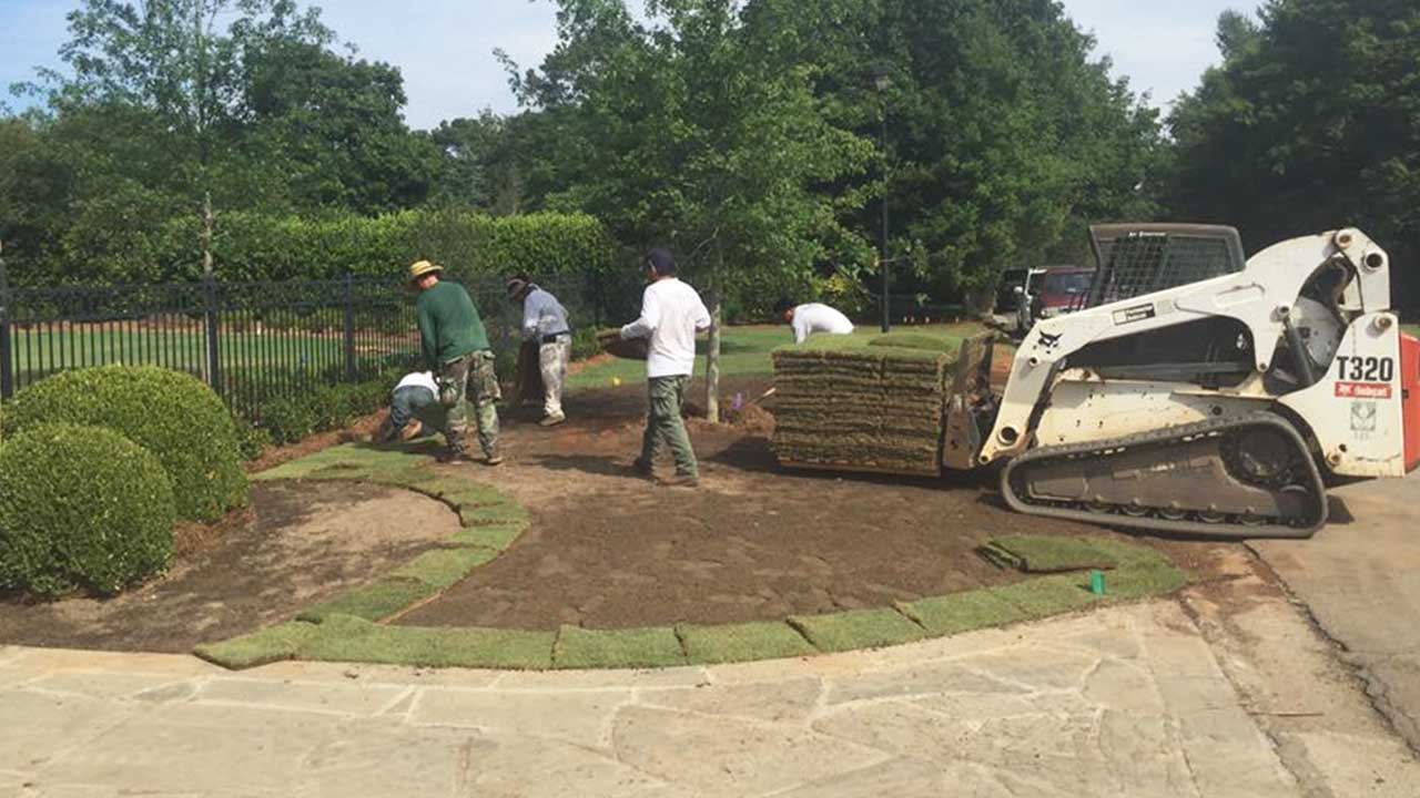 professional sod installers