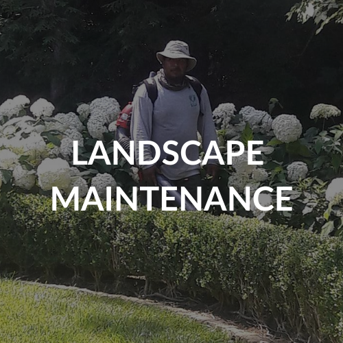 atl landscape maintenance